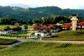 Vinicola - Vale dos Vinhedos
