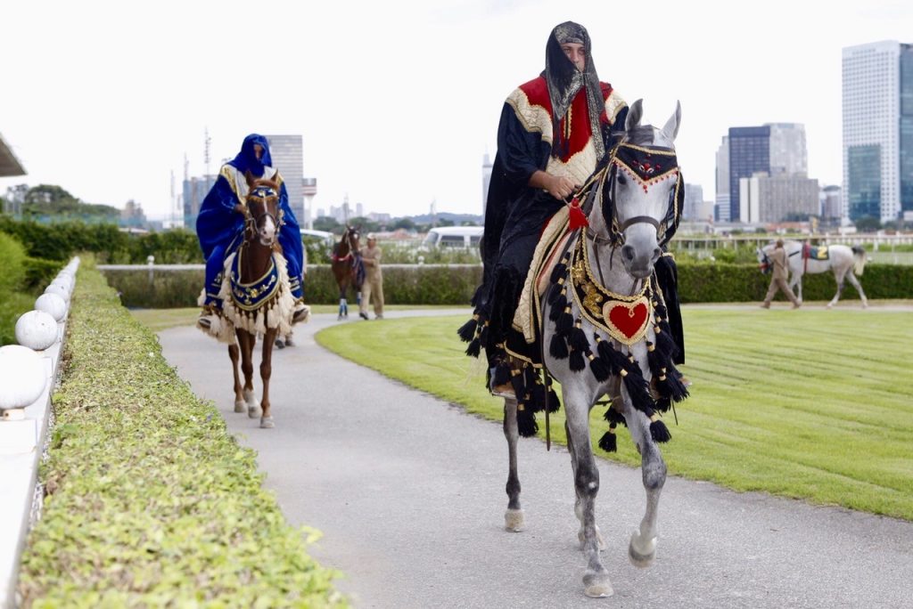 Páreo celebra Dia da Comunidade Árabe