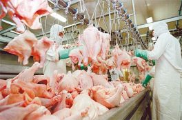 Poultry exports from Brazil up 11% in August