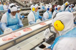 Poultry exports slid by 36.9% in June