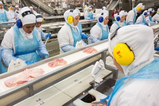 Exportações de carne de frango caíram 37% em junho