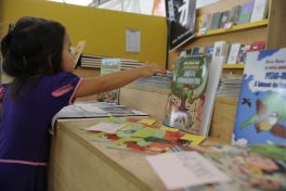 Registrations open for the translation of Brazilian books