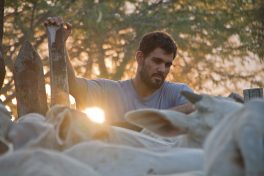 Cairo to host Ibero-American Film Week