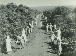 Mulheres imigrantes são tema de palestra em São Paulo