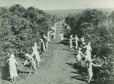 Immigrant women the topic of lecture in São Paulo