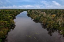 Brazil offers to host COP-25