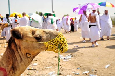 Islamic tourism could create 1.2 million jobs until 2020