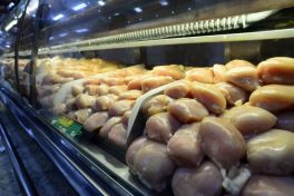 Poultry exports down 6% in September