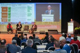 Empoderamento juvenil é tema do 6º Fórum Brasil-África