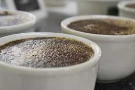 Brazilian coffees in final phase of Cup of Excellence