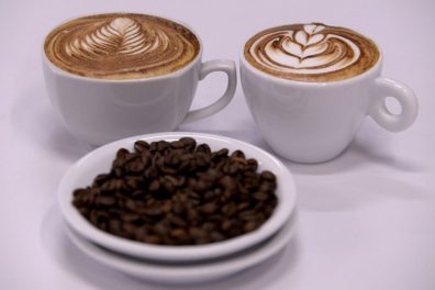 Twelve Brazilian companies join mission to Algeria