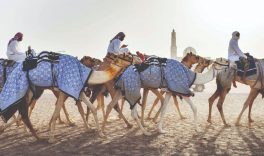 Exposição de fotos mostra evolução dos Emirados