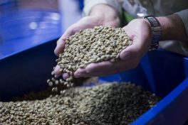 Brazil coffee exports hit record high in October