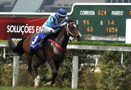 UAE company sponsors horse races in São Paulo