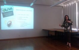 Mais países buscam mercado brasileiro de azeites