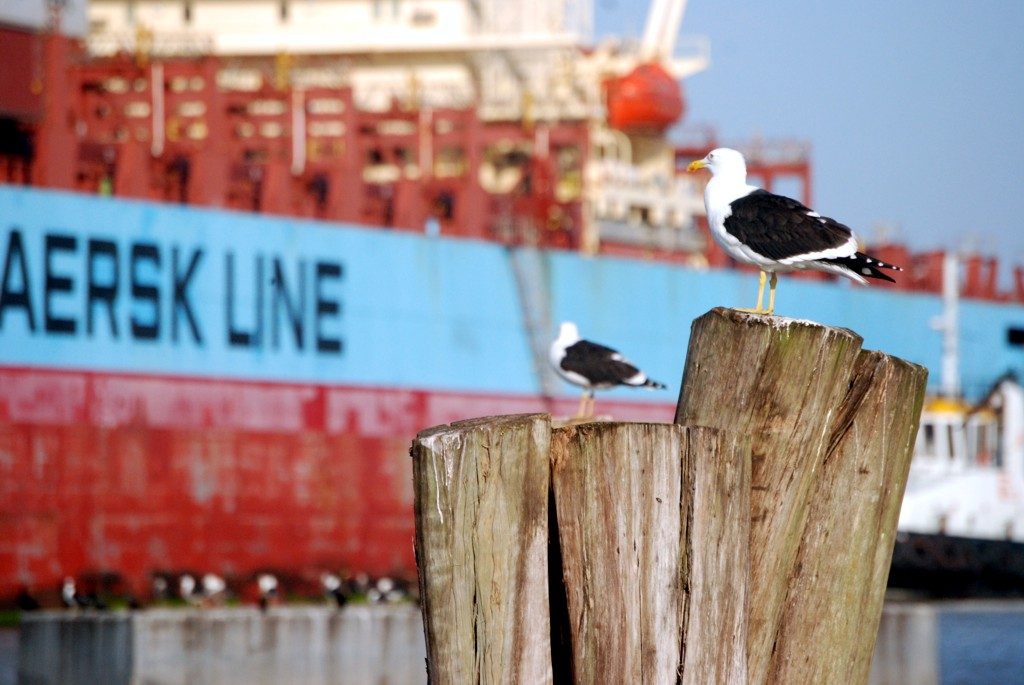Navio parado no Porto de Itajaí