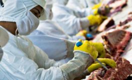 Brazil beef giant Minerva entered a supply deal with Salic