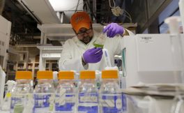 GCC chemical industry performance improves