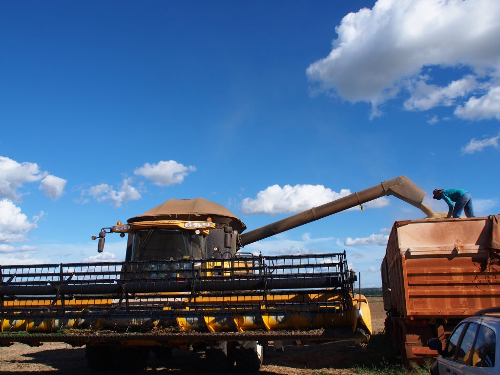 Soja é um dos principais produtos da balança comercial