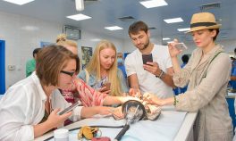 No hospital, com falcões