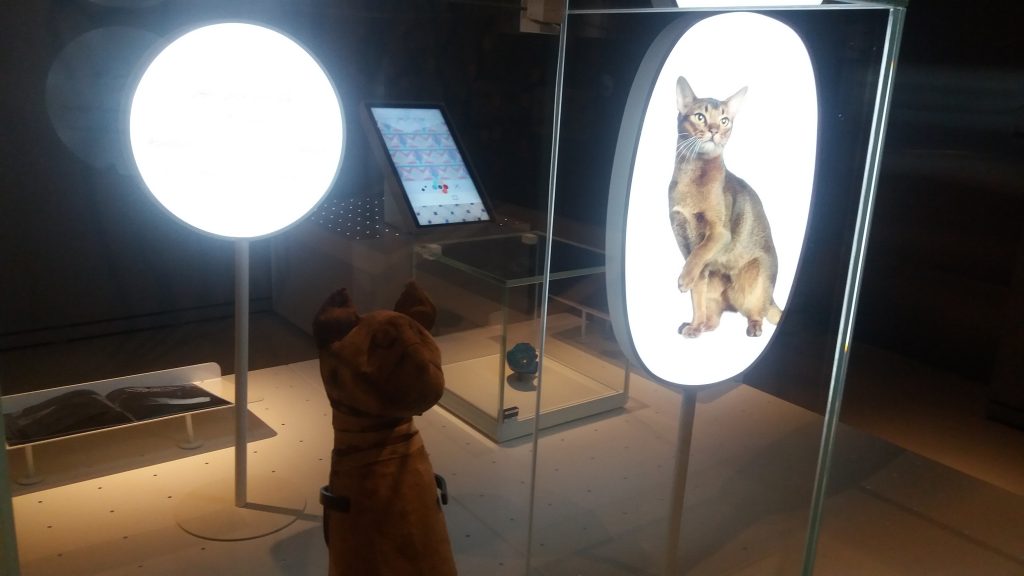 Exposição infantil no Louvre Abu Dhabi