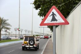 A menina e o gato de Abu Dhabi