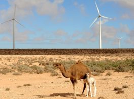 Fontes renováveis são 35% da matriz energética do Marrocos