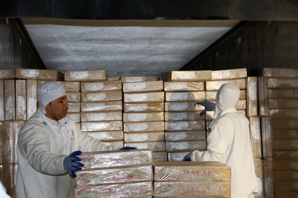 Árabes importam maior volume de carne brasileira em 11 anos Carne bovina halal exportada pelo Brasil