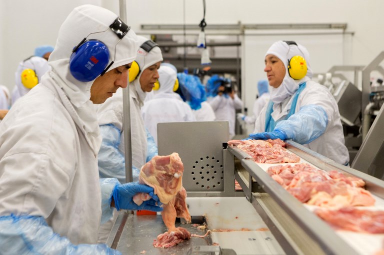 Comitiva de exportadores de carne de frango do Brasil e partiu no último domingo (10).