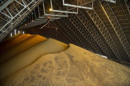 Agribusiness exports climb 15.6%