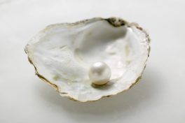 Comércio de pérolas gera US$ 468 milhões em Abu Dhabi