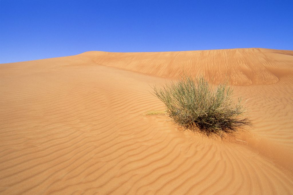 Deserto Rub al Khali, em Sharjah