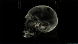 Múmia egípcia de 2,5 mil anos tem origem comprovada