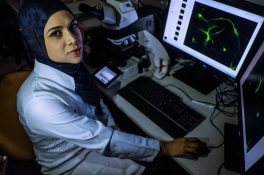 Mulheres do véu, da pesquisa e da carreira