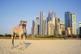 Receita com turismo estrangeiro no Oriente Médio cresce 3%