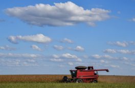 Vendas do agronegócio ao Oriente Médio têm forte avanço