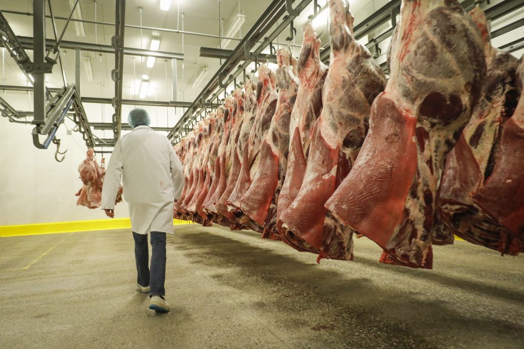 Egypt doubles beef imports from Brazil Carne bovina