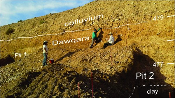 Afloramento 334, vale do Zarqa, Jordânia, em 2014_Fabio Parenti