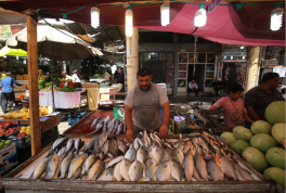 IMF sees improved security situation in Iraq