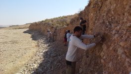 Da Jordânia, pesquisa brasileira traz novo modelo evolutivo