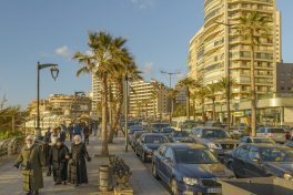 Lebanon needs growth-inducing reforms: IMF