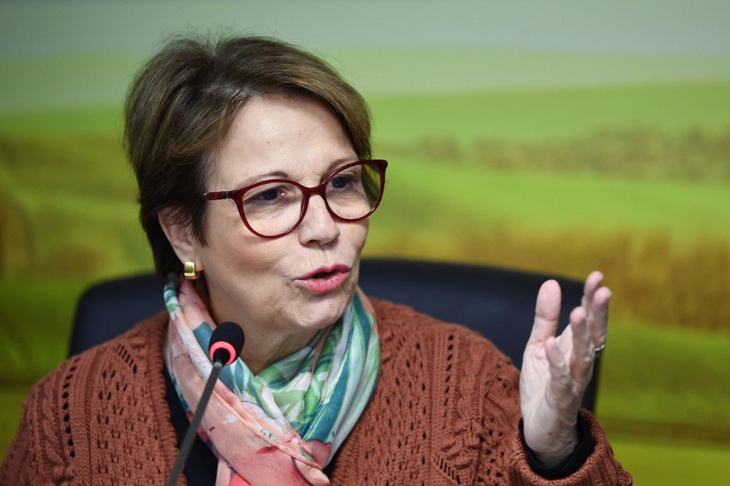 Tereza Cristina, Ministra da Agricultura
