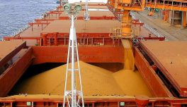 Exportação do agronegócio ao Oriente Médio cresce 22%