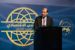 'Site pode ter impacto inédito nas relações econômicas'