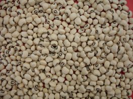 Egito é terceiro maior importador de feijão do Brasil