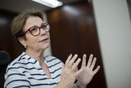 Ministra quer ampliar pauta de exportação para árabes