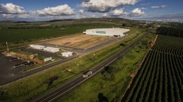 Arab buyers to tour Brazil coffee-growing region