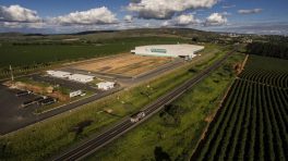 Compradores árabes viajam por região cafeeira no Brasil