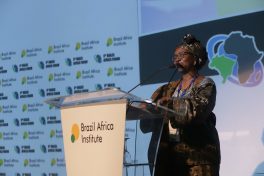 Câmara Árabe participa do Fórum Brasil África