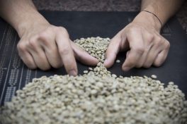 Coffee exports from Brazil to Arab countries up 46%